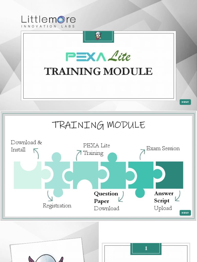 PEXA LITE User Manual | PDF | Icon (Computing) | Multiple Choice