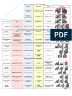 Tabla de Musculos Extremidad Superior