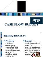 Cash flow  Budget