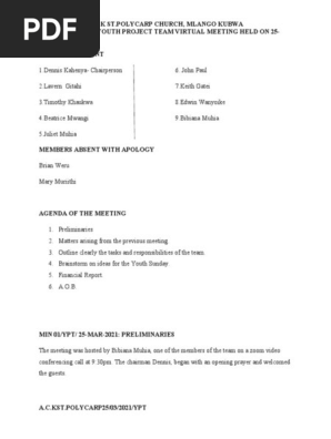 YOUTH PROJECT TEAM VIRTUAL MEETING(MINUTES)