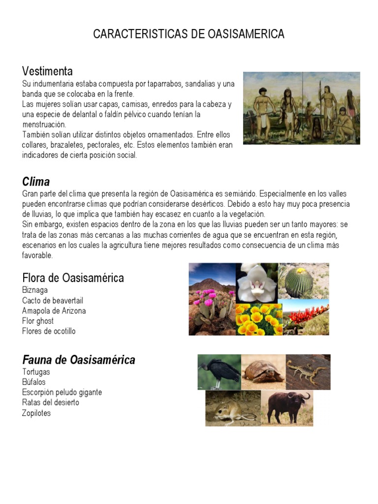 Caracteristicas de Oasisamerica | PDF