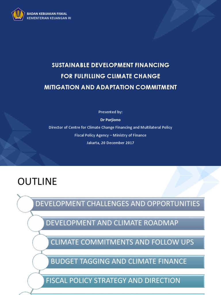 Indonesia's Climate Financing Strategies | PDF | Fiscal Policy ...