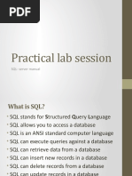 Practical Lab Session: SQL-server Manual