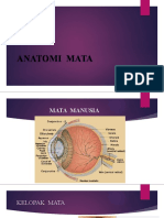 Anatomi Mata