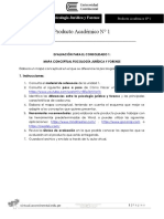 Producto Académico N1