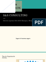 DS 024-16-EM (SS Consulting) 