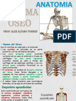 Sistema Oseo Parte 3