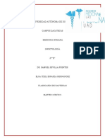 Flashcards de Bacterias