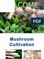 Mushroom Production, Nutrition, Identification & Cultivation