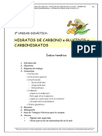 Tema 3 - Hidratos de Carbono - NP