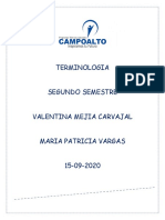 Terminologia Segundo Semestre Vale