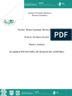 Elaboración de Papel de Trabajo de Auditoria