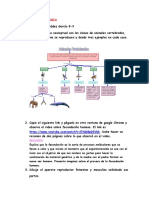 Trabajo de Biologia