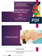 control prenatal y estatica fetal