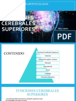 Funciones Cerebrales Superiores