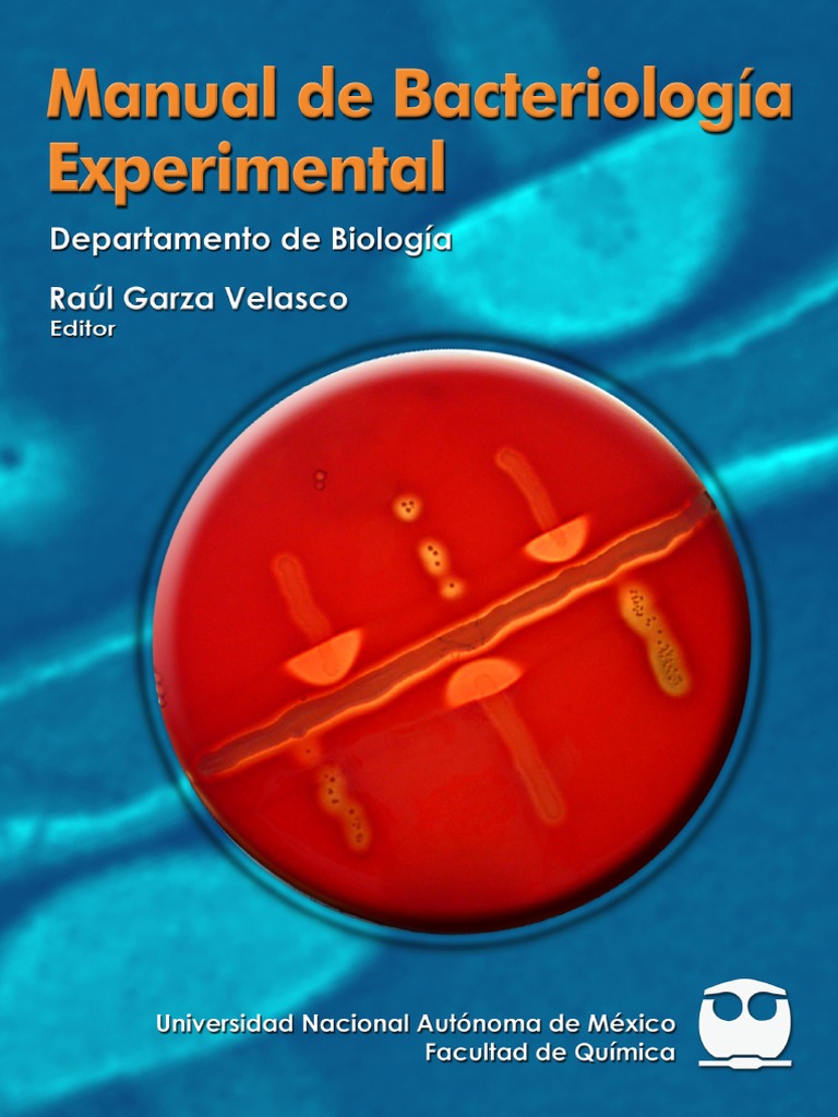 Manual de Bacteriología Experimental PDF Staphylococcus Aureus