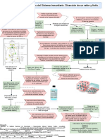 Esquema 2. Equipo 6.órganos Del Sistema Inmunitario. Disección de Un Ratón y Frotis