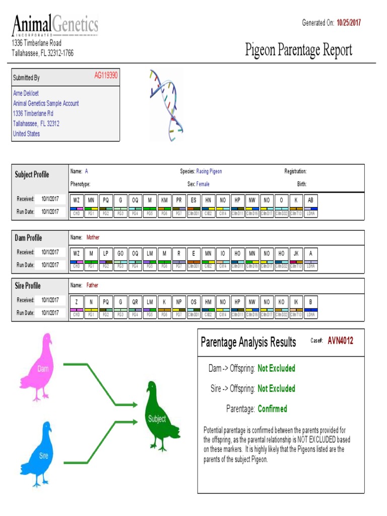 Racing Pigeon Parentage Report | PDF | Biology | Organisms