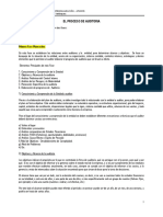 El Proceso de Auditoría-Apuntes-PBV