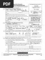 Josh Homme Restraining Order Request 2