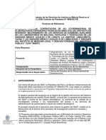 Ci 130 - TDR Coordinador Elaborar Expediente Tecnico Proy Exam Auxiliares PDF