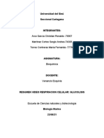 Resumen Glucolisis Bioquimica