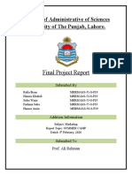 Final Project Report: Institute of Administrative of Sciences University of The Punjab, Lahore