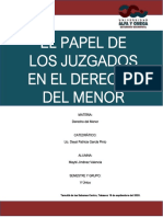 Ensayo Tribunales de Familia