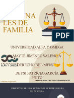 Los Tribunales de Familia