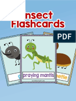 Insect Flashcards Compressed