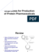 Bioprocess - Pharmaceutical Protein