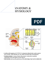 Anatomy & Physiology of Ageusia