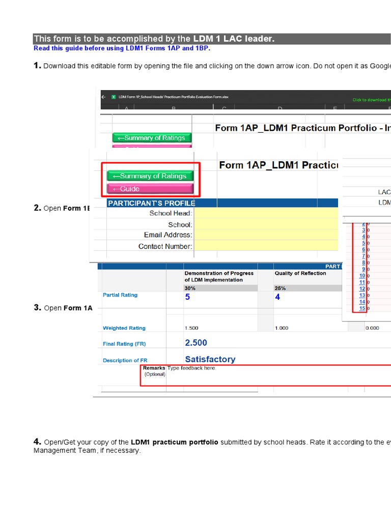 LDM1 Forms 1AP and 1BP User Guide | PDF | Cognition | Computing