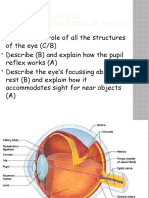 Thursday, 17 July 2014 Structure and Function of The Eye
