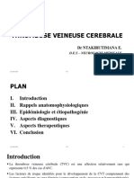 Thrombose Veineuse Cerebrale