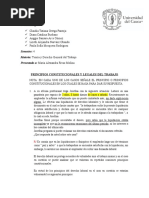 Tarea Principios Constitucionales