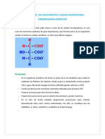 Resumen #12