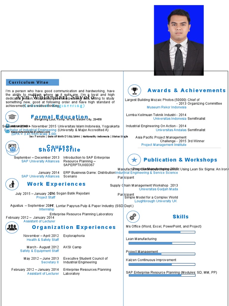 CV Conversion PDF Enterprise Resource Planning Industrial Engineering