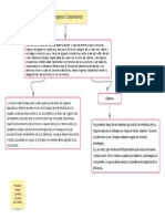 Mapa Conceptual Organo Corporativo