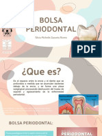 Bolsa Periodontal