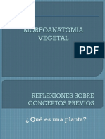 Tema 2 Planta PDF