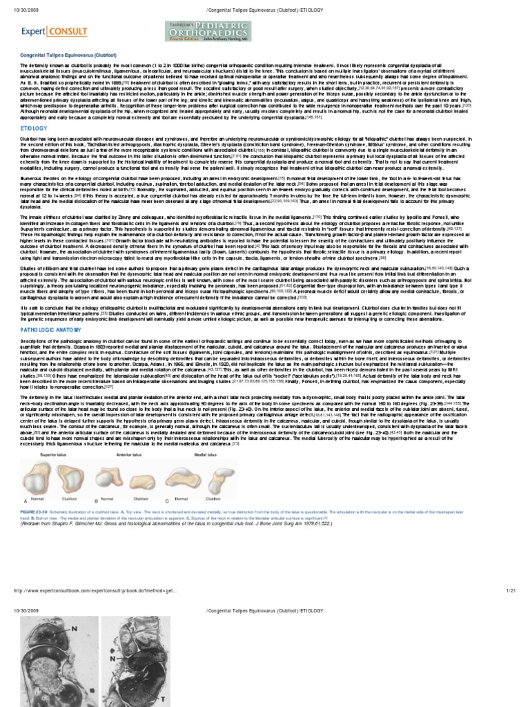 Etiology Congenital Talipes Equinovarus PDF Foot Ankle