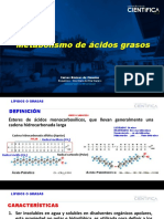 Semana 9-Sección 17