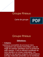 Groupe Rhésus