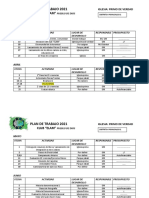 Plan de Trabajo Guia Mayor 2021