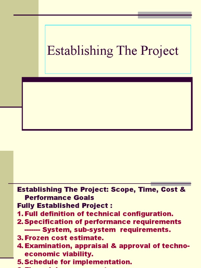 Establishing The Project | PDF | Net Present Value | Internal Rate Of ...