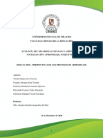 Grupo8 PerspectivasDesarrollo 11ene2021