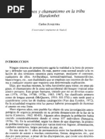 ALUCINÓGENOS Y CHAMANISMO