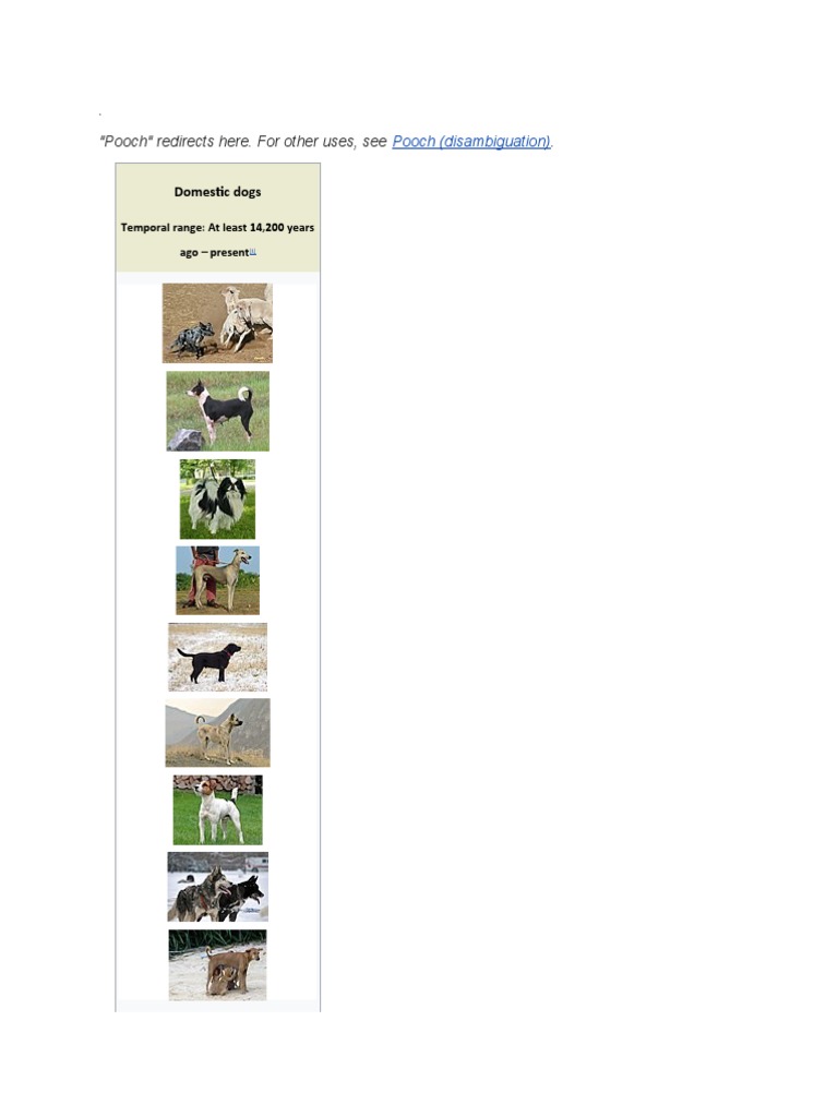 Sime and Swollen Army in Navy Bar | PDF | Dogs | Neutering