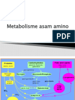 Kuliah 5,6 - Metabolisme asam amino